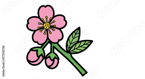 Cherry blossom, a symbol of spring and beauty