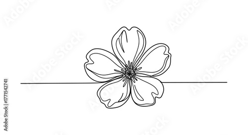 Minimalistic flower line art for decoration