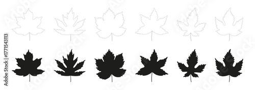 Set of maple leaf icons. Black color leaves, isolated on a white background. Leaves in silhouettes, and line art style. Fall, spring, or summer collection foliage. Vector illustration