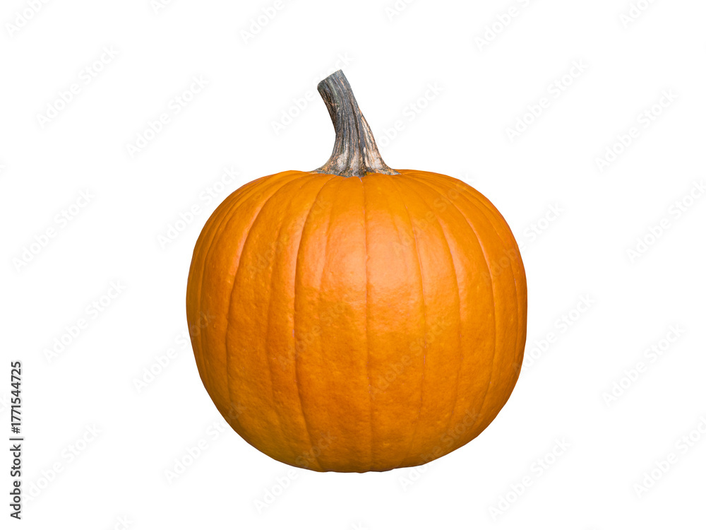 Obraz premium Large pumpkin isolated on white background