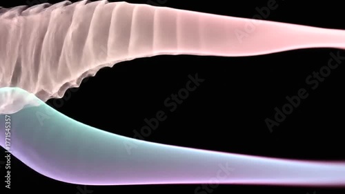 Abstract representation of fluid dynamics with colorful waves flowing in a dark background