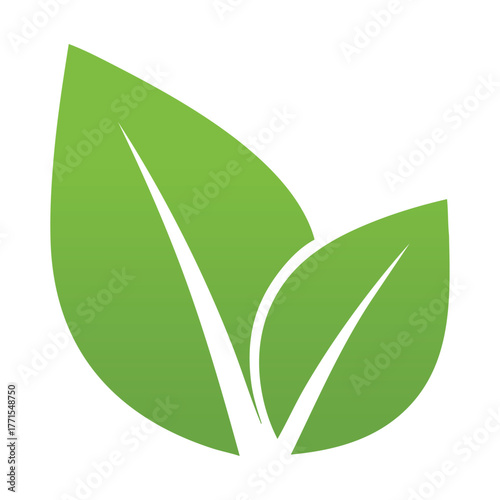Green Gradient Leaves with White Veins on White Background leaf nature