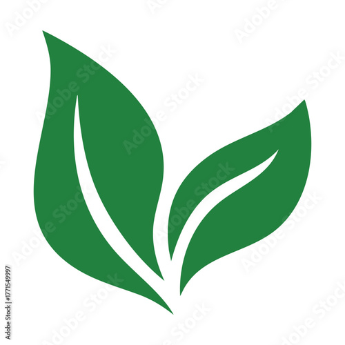 Two Green Leaves Icon on White Background leaf plant