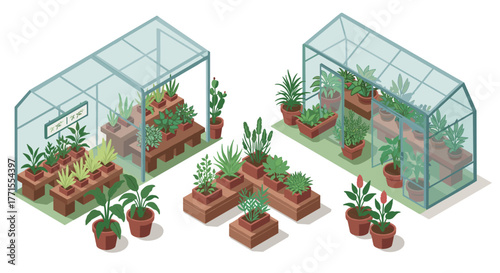 Modern greenhouse with diverse plants in isometric style