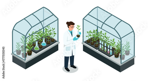 Scientist in greenhouse analyzing plants with lab equipment in isometric style