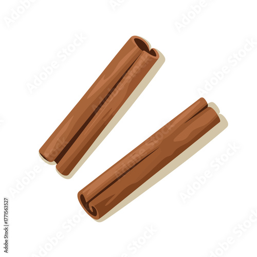 Two cinnamon sticks on a white background