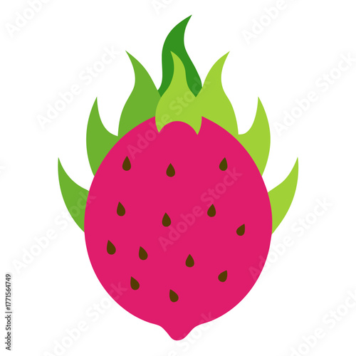dragonfruit vector