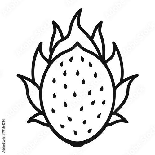 dragonfruit line art vector on white background