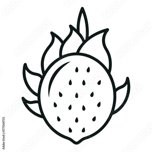 dragonfruit line art on white background