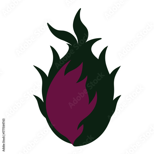 dragonfruit silhouette  on white background