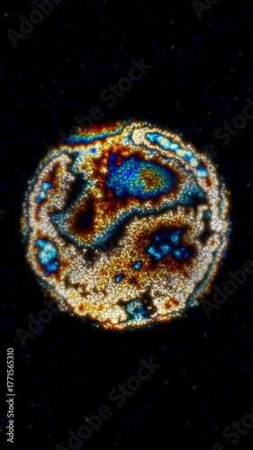 A macrophage's nuclear structure is revealed in microscopic imaging.