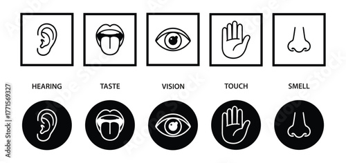 Human senses icon set. Vision eye, smell nose, hearing ear, touch hand, taste mouth with tongue. Simple line icons and black circle. Five senses of human nervous system. Vector illustration.
