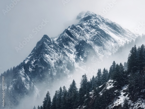 Winter Mountain Landscape Heavy Snowfall Foggy Peaks Coniferous Trees Cold Weather Wilderness Scene Dramatic Natural Beauty Outdoor Adventure