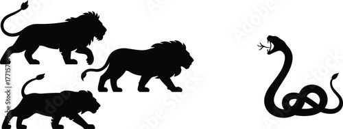 Silhouette illustration of three lions facing a dangerous snake, wildlife confrontation concept, animal kingdom fight scene, predator versus predator vector design
