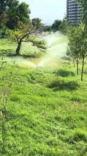 Tree trunk in the foreground of a park lawn. Grass watering. Smart garden activated with full automatic sprinkler irrigation system. Watering lawn ideal for landscaping, garden tech. High quality 4k