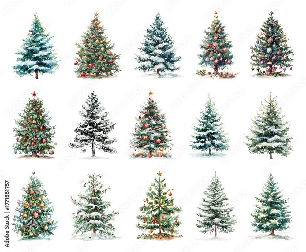 Obraz premium PNG Diverse festive Christmas tree collection, element set on transparent background