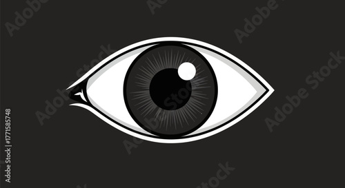A stylized eye graphic with a dark pupil and detailed iris, set against a black backdrop