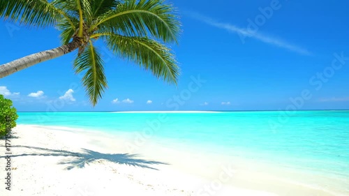 Relaxing getaway with turquoise sea and palm trees swaying in the breeze on sunny day