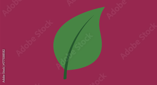 A single green leaf with central vein on a maroon background. Simple, flat design