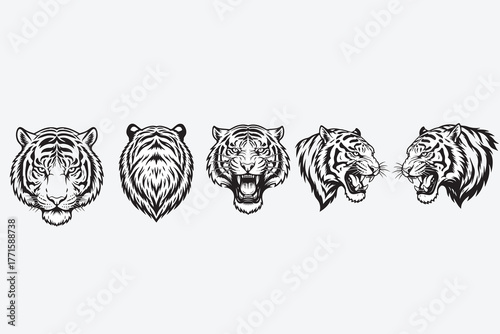Fierce tiger portraits row five majestic feline faces detailed line art wildlife art