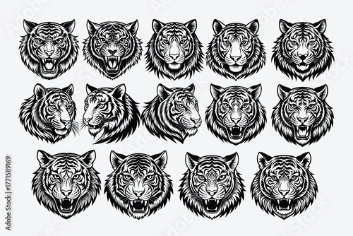 Collection of fierce tiger head portraits in various angles capturing majestic wildlife roar and powerful stare animal art
