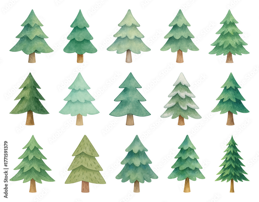 Fototapeta premium PNG Watercolor evergreen tree illustrations, element set on transparent background