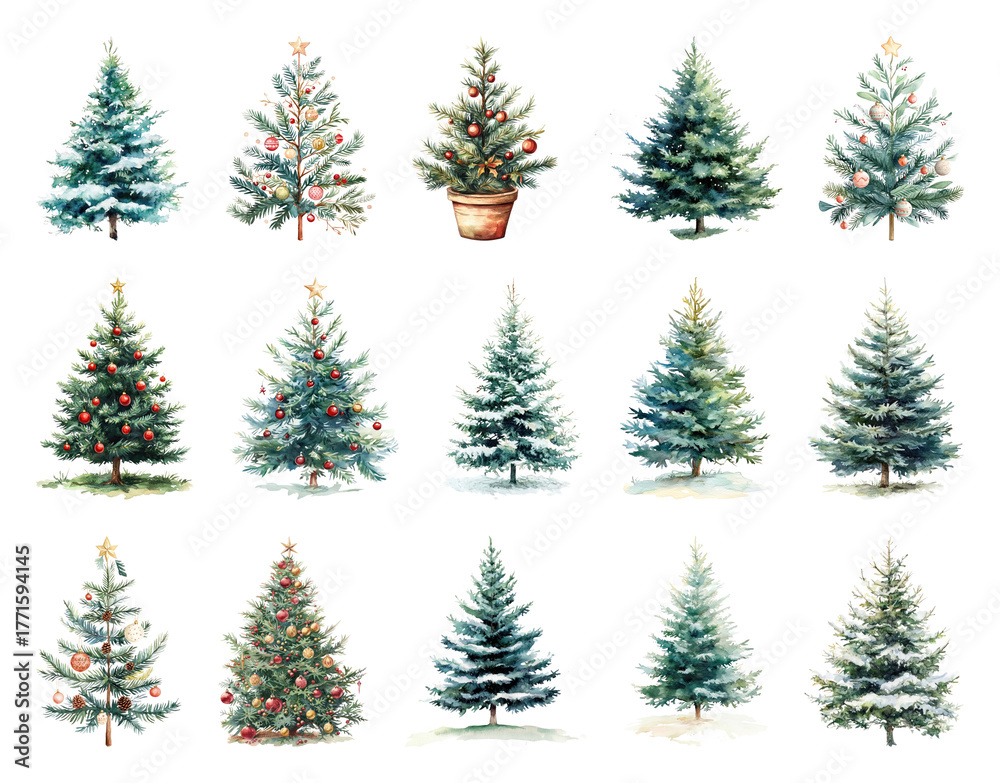 Obraz premium PNG Watercolor Christmas tree collection, element set on transparent background