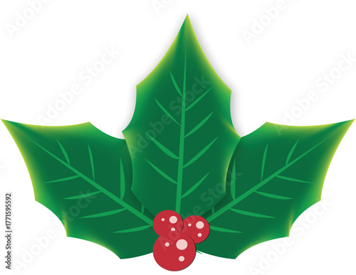 Single Holly Leaf Cluster with Red Berries christmas