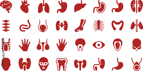 Medical Organs Silhouette Icon Set – Anatomy, Body Parts, Kidney, Bladder, Pancreas, Intestine, Thyroid, Pelvis, Skeleton, Joint, Hand, Nose, Mouth, Tongue, Vector Icons
