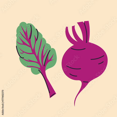 Hand-drawn beet in flat, doodle, minimalist style. Simple  design. Perfect for food packaging, kitchen prints, menus, and healthy 
