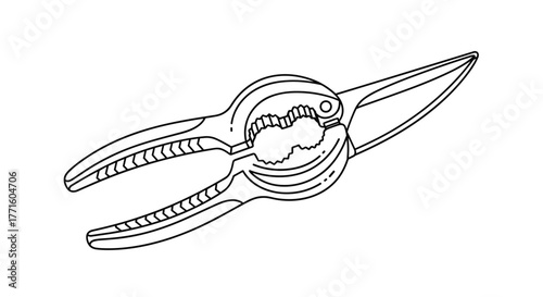 A line art illustration of a classic metal nutcracker with its handles open, revealing a cracked nut held firmly in its serrated jaws.