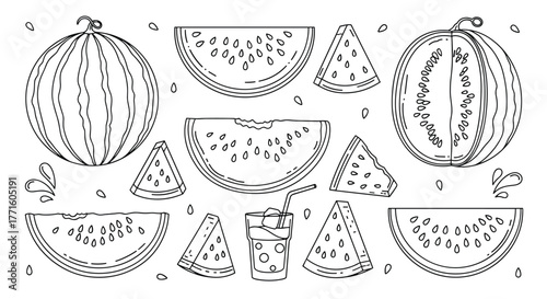 A refreshing collection of line art watermelons, including whole fruits, slices, and a glass of juice, perfect for summer designs.