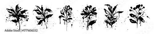 Ink flower stain illustration, abstract hand drawn plant art, floral splash graphic grunge print set. Black contemporary minimalist freehand art organic doodle brushstroke decor. Ink flower paint icon