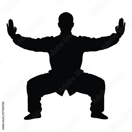 Martial arts silhouette demonstrates balanced stance and powerful movement in traditional kung fu silhouette