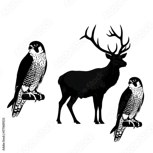 Illustration of two falcons perched and a deer with large antlers against a black background