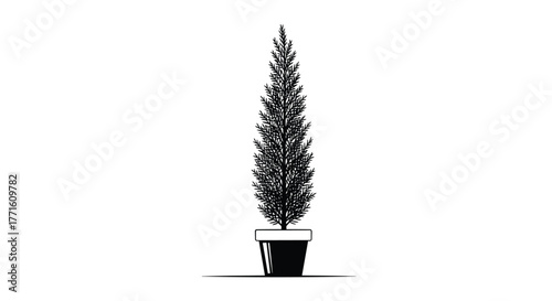 A minimalist black-and-white illustration of a slender, conical evergreen plant in a pot, suitable for decorative and garden design concepts.