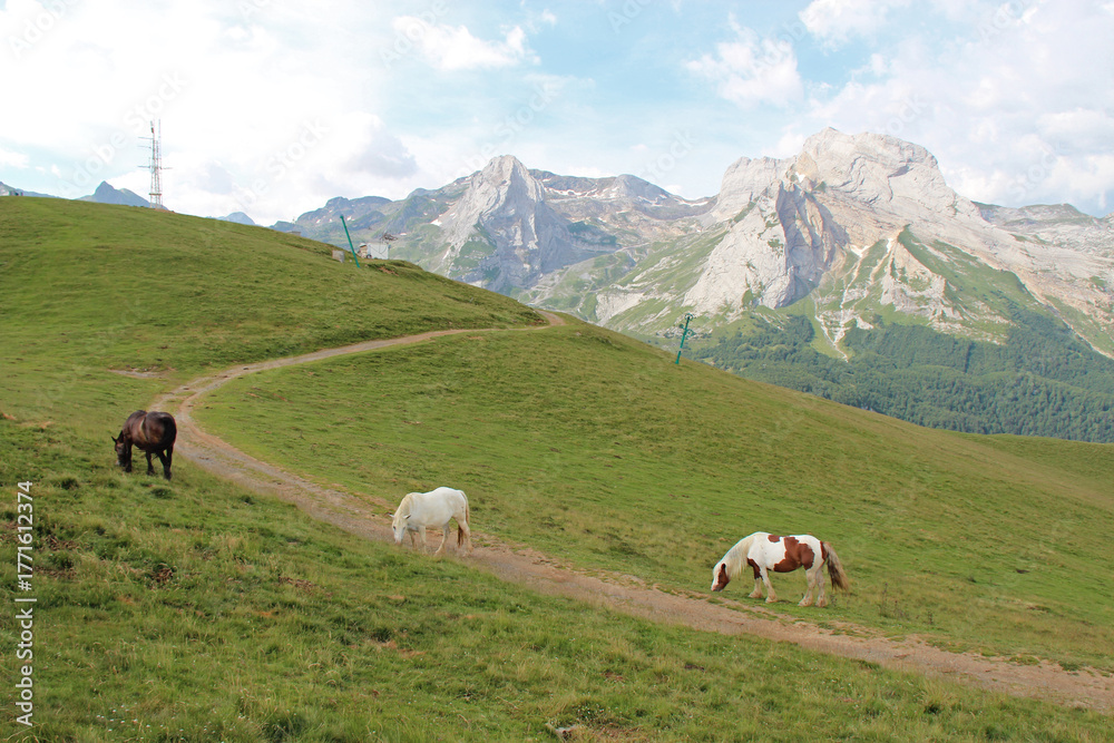 Obraz premium mountain pass (aubisque) in the french pyrénées in france 