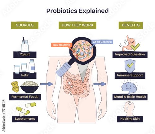 Probiotics explained, a gut health overview showing intestines under a magnifying glass with good and bad bacteria, plus sources and benefits summarized. Doodle style diagram