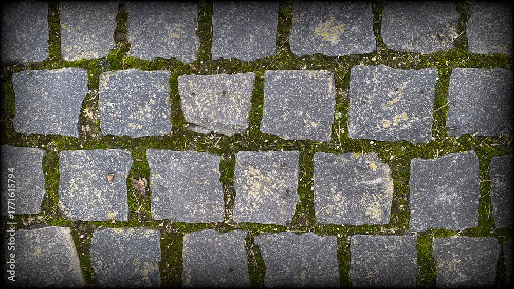 Fototapeta premium moosiges Granitpflaster