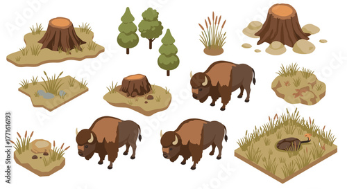 Wildlife scene with bison and nature elements in isometric design