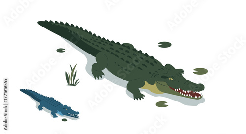 Isometric crocodile and alligator illustration with water plants
