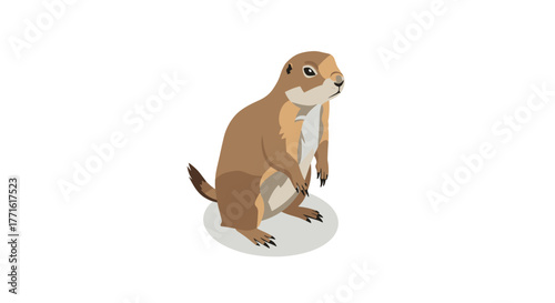 Isometric prairie dog standing on hind legs with white background