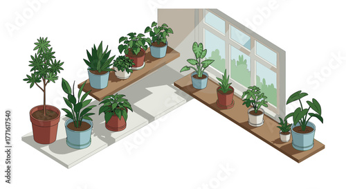 Indoor gardening scene with potted plants on shelves by a sunlit window