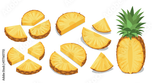 Detailed pineapple slices and whole fruit on white background