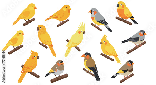 Colorful collection of birds perched on branches in flat style