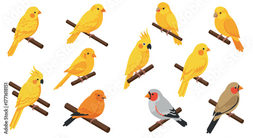 Colorful birds perched on branches in isometric style