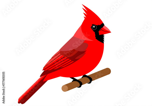 Vibrant Cardinal Perched on Branch: A striking cardinal bird with its radiant red plumage, delicately perched on a slender wooden branch, embodies the beauty of avian life.