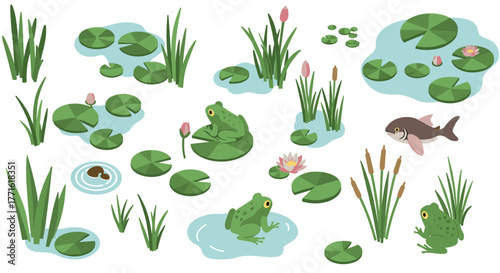 Colorful isometric pond scene with frogs, water lilies, and reeds