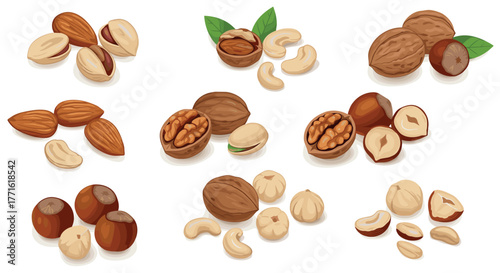 Diverse assortment of nuts with leaves in realistic style