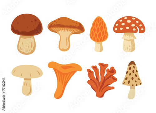 Different mushrooms: edible and wild forest fungi in various shapes and colors. Simple mushroom icons set isolated on white background. Flat vector illustration.